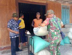 Senyum Para Petani Melihat Semangat Babinsa Dan PPL Dampingi Petani Dalam Serapan Gabah