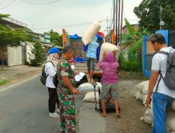 Bersinergi Babinsa Bersama PPL Lec. Sukomoro Dampingi Petani Menjual Gabah Ke Bulog