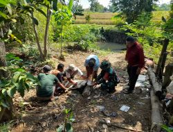 Babinsa Koramil Ngetos Kodim 0810 Nganjuk melaksanakan pemantauan dan pendampingan pemotongan Hewan Qurban