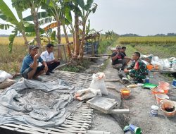 Ditengah Sawah, Babinsa Koramil 0810/15 Rejoso, Komsos Dengan Petani Di Desa Binaan