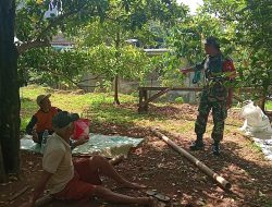 Babinsa Sambang kepetani Cengeh Sawahan Nganjuk