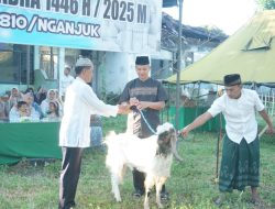Dandim Serahkan Hewan Qurban Idul Adha 1446 H Kepada Panita Qurban Kodim 0810/Nganjuk
