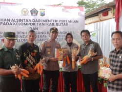 Polres Blitar Serahkan  Benih Jagung dan Alsintan, Wujud Sinergi dalam Panen Raya Jagung Serentak