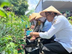 Dukung Program Ketahanan Pangan, DKPP Dorong Manfaatkan Lahan Kosong Sekitar Rumah