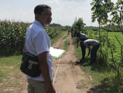 Lima Proyek Pembangunan Desa Dadapan 2024, Diusut Buntut Aliran Dana Mencurigakan ke Rekening Pribadi Kades