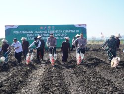 Wakili Dandim 0810 Nganjuk, Kasdim Hadir Pada Acara Penanaman Jagung Serentak Kuartal III
