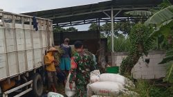 Babinsa 0810/08 Baron Desa Kemaduh Kecamatan Baron Dampingi Petani Pasca Panen Padi.