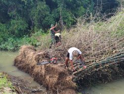 Antisipasi Banjir Babinsa Gerakkkan Warga Bersihkan Rumpun bambu