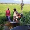 Babinsa DS Sekarputih Menyatu Bersama petani