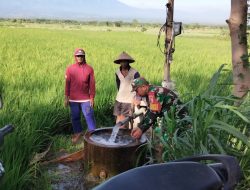 Babinsa DS Sekarputih Menyatu Bersama petani