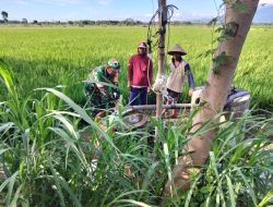 Babinsa Desa Sekarputih Menyatu Bersama Petani dalam Pengairan Sawah