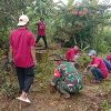 Babinsa Desa Blongko Membantu Masyarakat Melaksanakan Kerja Bakti Membersihkan Lingkungan Di Dusun  Tengger 
