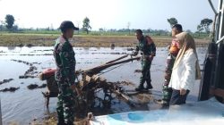 Sinergi TNI dan PPL Tingkatkan Kapasitas Petani di Wilayah Kecamatan Ngronggot