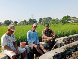 Babinsa Bersama Warga Gotong Royong Bersihkan Saluran Irigasi