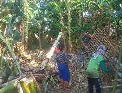 Wujudkan Kepedulian, Babinsa Bantu Pembongkaran Kandang Milik Warga