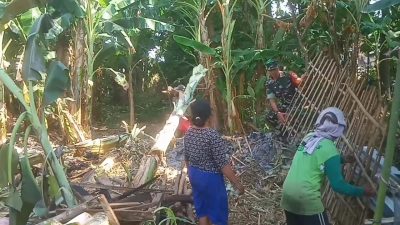 Wujudkan Kepedulian, Babinsa Bantu Pembongkaran Kandang Milik Warga