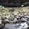 Bosan Liburan Di Rumah Saja, Nganjuk Punya 18 Destinasi Wisata Air Mau Coba!