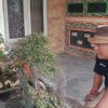 Masrur, Warga Jombang yang Sulap Halaman Rumah Jadi Galeri Bonsai Bernilai Puluhan Juta