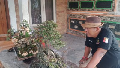 Masrur, Warga Jombang yang Sulap Halaman Rumah Jadi Galeri Bonsai Bernilai Puluhan Juta