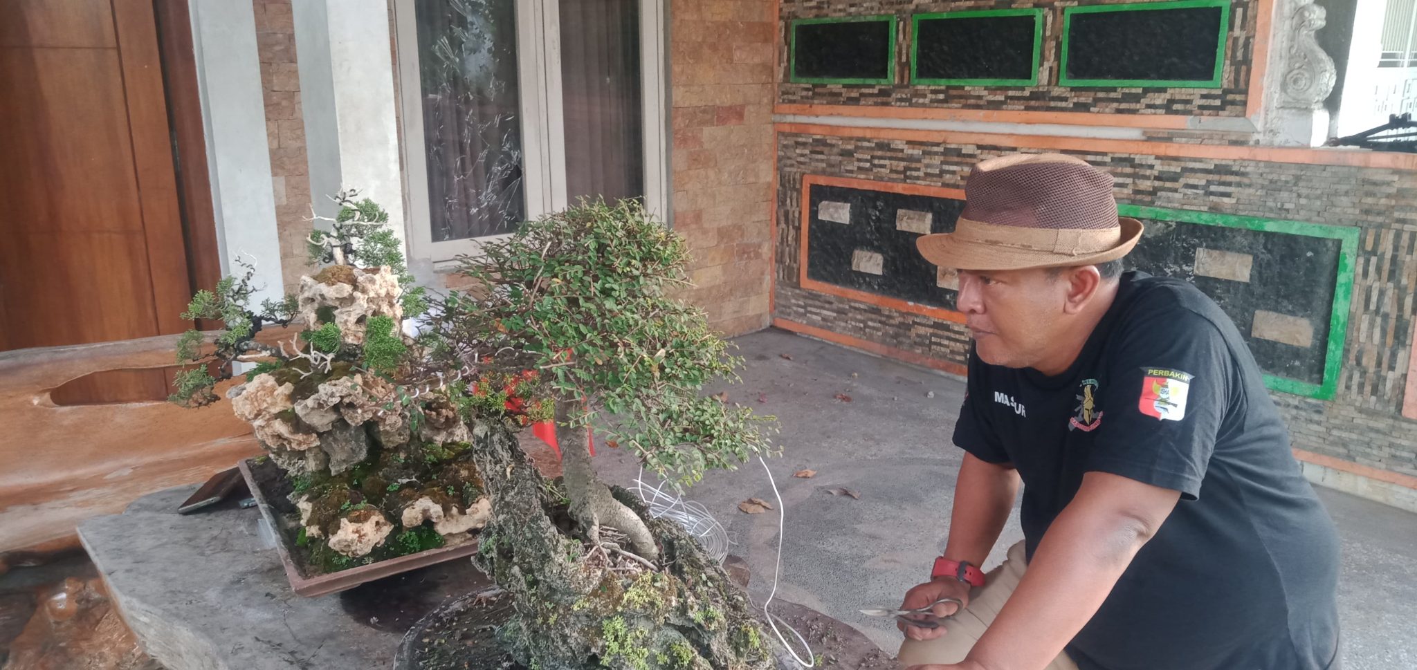 Perawatan detail dilakukan Masrur untuk mempertahankan estetika bonsai