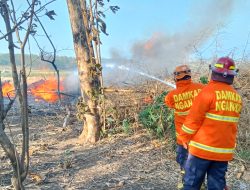 Pembakaran Sampah untuk Buka Jalan Baru Picu Kebakaran Rumpun Bambu di Pace Nganjuk