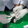 Gagal Diselundupkan, Paket Narkoba Dilempar ke Dalam Lapas Tulungagung