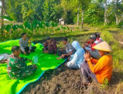 Babinsa Girirejo Sosialisasikan Pertanian dan Perkuat Sinergi dengan Masyarakat