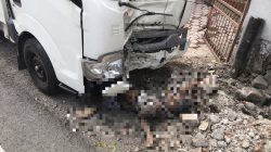 Mobil Pikap Seruduk Pejalan Kaki dan Pengendara Sepeda di Nganjuk, Dua Korban Tewas di Tempat