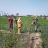 Babinsa Koramil 0810/15 Rejoso Dampingi Petani di Sekolah Lapang Tematik Menuju Pertanian Organik