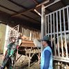 Babinsa Koramil 0810/04 Berbek Beri Motivasi Sambangi Peternak Kambing di Desa Binaan