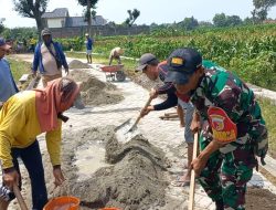 Babinsa dan Warga Kompak Perbaiki Jalan Akses Sawah di Desa Tanjung