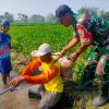 Babinsa Tanjunganom Dampingi Petani Berantas Gulma Padi, Wujudkan Swasembada Pangan