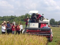 Anggota Dewan Fauzi Irwana Jajal Alat Panen Modern, Dorong Petani Nganjuk Terapkan Pertanian Efisien