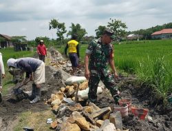 Babinsa Koramil  Rejoso Gotong Royong Bangun TPT Bersama Warga di Jalan Persawahan Wilayah Binaannya