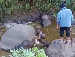 Dua Orang Tewas di Sungai Wiyurejo, Diduga Akibat Kecelakaan Tunggal