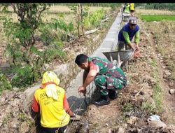 Babinsa Bendungrejo Bantu Warga Bangun Saluran Irigasi untuk Pertanian