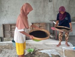Petani Bayam di Kudu Tersenyum, Harga Stabil Bawa Harapan Baru