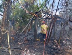 Lalai Bakar Sampah, Kandang Ternak di Nganjuk Ludes Dilalap Api