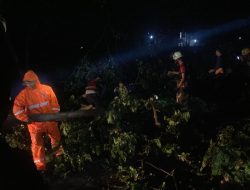 Angin Puting Beliung Landa Lamongan, Jalanan Lumpuh dan Bangunan Rusak