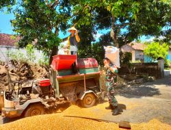 Babinsa Suru Bantu Warga Giling Jagung di Tengah Cuaca Tak Menentu
