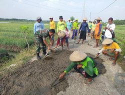 Babinsa Desa Sukorejo Bersama Warga Gotong Royong Perbaikan Jalan di Area Persawahan