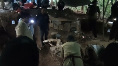 Fosil Gajah Purba Stegodon di Hutan Tritik Nganjuk Diduga Paling Lengkap di Indonesia, Ekskavasi Capai 70 Persen