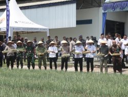 Kapolres Nganjuk Hadiri Panen Raya Bawang Merah Program Ketahanan Pangan di Wilayah Kerja Kodaeral V Surabaya