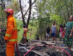 Gagal Kontrol Api Bakar Sampah, Rumpun Bambu di Kedungdowo Nganjuk Hangus Terbakar