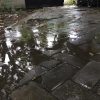 BMKG Peringatkan Potensi Cuaca Ekstrem di Nganjuk Hingga 25 Oktober, Masyarakat Diminta Waspada Banjir dan Longsor