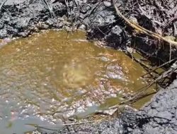 Heboh!Dua Sumber Minyak Tanah Diduga ‘Solar’ Ditemukan di Hutan Jatikalen Nganjuk Dekat Peninggalan Kolonial Belanda Terbengkalai