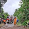 173 Bencana Terjadi di Kota Batu Sepanjang 2025, Longsor Mendominasi