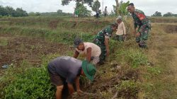 Babinsa Kuncir Ajak Warga Gotong Royong Bersihkan Saluran Irigasi