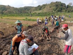Babinsa Koramil 0810/20 Ngluyu Bersama Warga Kerja Bakti Pembuatan Badan Jalan di Dusun Cabean