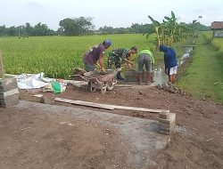 Babinsa Sonobekel Gelar Karya Bakti Bangun Jembatan Penghubung Antar Dusun